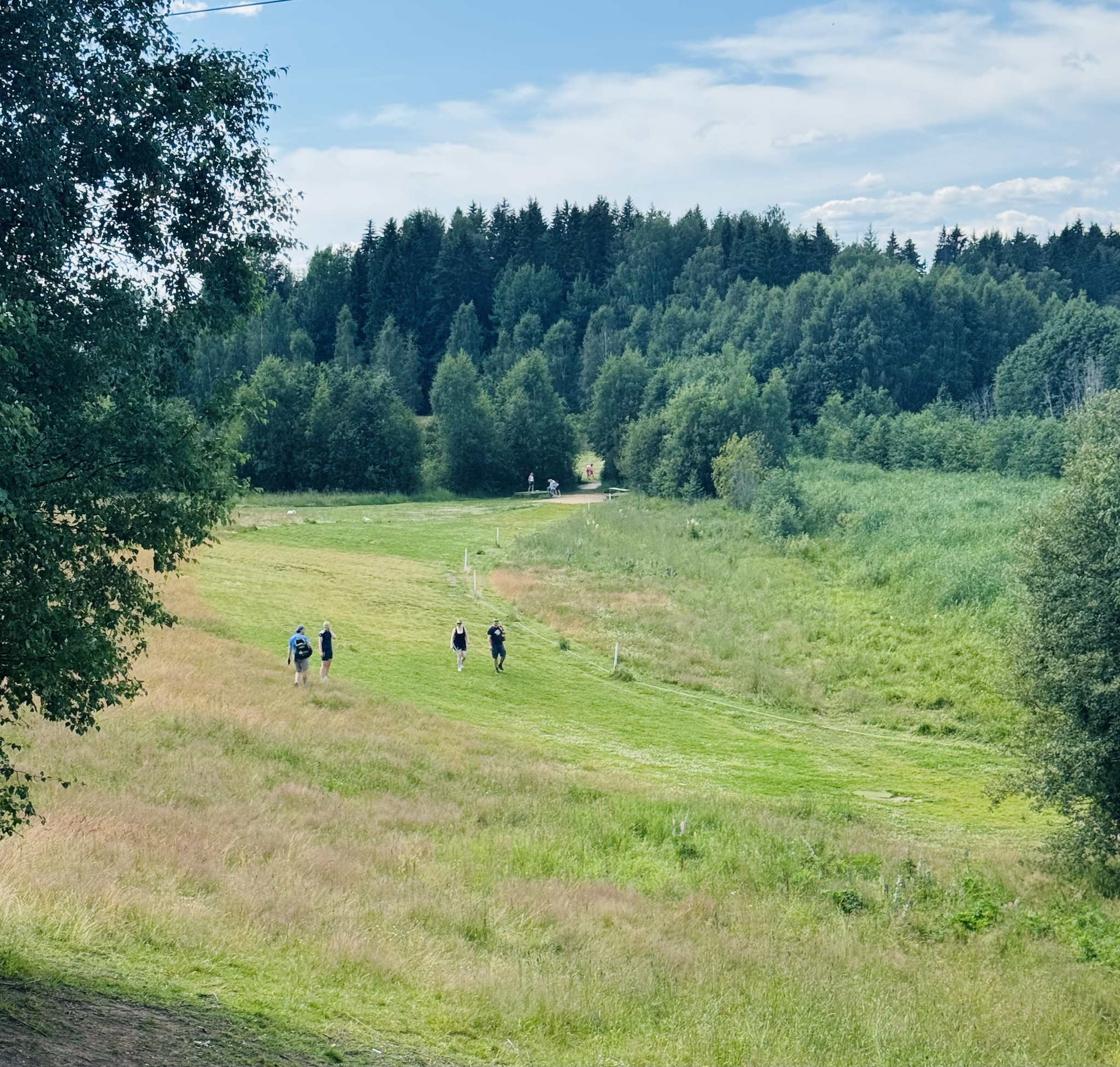 Fairway gjennom skogen
